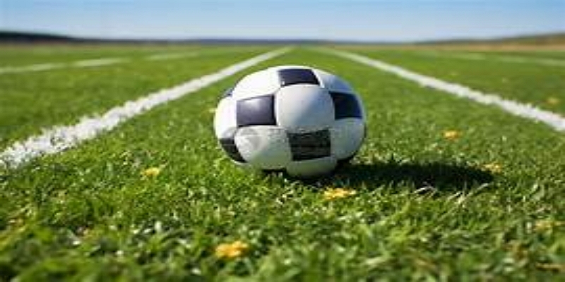 下载方式与使用指南—米兰体育一步步教您轻松上手-米兰体育